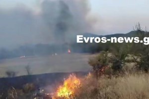 Μεγάλη πυρκαγιά στην Αλεξανδρούπολη: Μήνυμα του 112 σε 4 οικισμούς - Κλειστή η Εγνατία - εικόνα 2