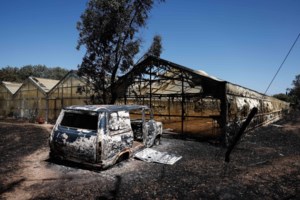 Φωτιά στη Χίο: Ντοκουμέντα με μπιτόνια που δείχνουν εμπρησμό - Προσήχθη νεαρή Γεωργιανή [βίντεο]