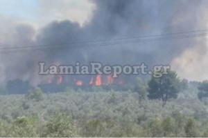 Οργισμένος ο Δήμαρχος Λαυρεωτικής – Πώς καταγγέλλει ότι ξεκίνησε η πυρκαγιά που πλησίασε σπίτια [Βίντεο]