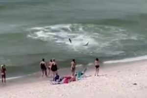 Απίστευτο: Τουρίστες σερφάρουν με μηχανοκίνητες σανίδες στα κανάλια της Βενετίας - Έπεσε βαριά "καμπάνα" [Βίντεο]