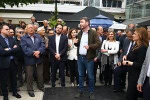 Κεφαλογιάννη: Οι δηλώσεις Ανδρουλάκη για πρωθυπουργό "άγνωστο Χ" εμπεριέχουν πολιτική αλαζονεία