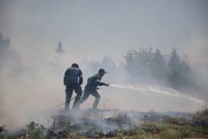 Απίστευτο: Πρώην αντιδήμαρχος Πολιτικής Προστασίας θα δικαστεί ως εμπρηστής για τις καταστροφικές φωτιές του 2021 στα Βίλλια - εικόνα 2