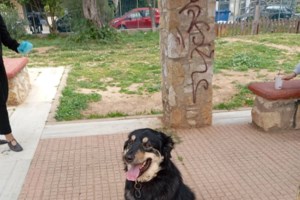 Μπάτον: Να γυρίζαμε τον χρόνο πίσω και να τα αλλάζαμε όλα για αυτό το φοβισμένο πλάσμα - εικόνα 3