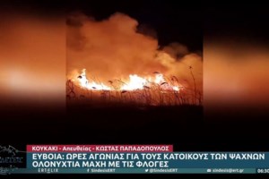 Φωτιά στον υδροβιότοπο της Εύβοιας: Βρέθηκε γκαζάκι στα αποκαΐδια - "Στάχτη" 40 στρέμματα