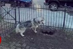 Χανιά: Ο βασικός ύποπτος για την επίθεση με δυναμίτη στο σπίτι αστυνομικού - Το Opel με κλεμμένες πινακίδες