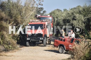Συναγερμός στην Πυροσβεστική: Μεγάλη φωτιά στο Κατακάλι Κορινθίας κοντά στην Εθνική Οδό Ισθμού - Αρχαίας Επιδαύρου - εικόνα 4