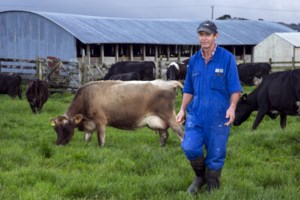 Φώκια με... τσαμπουκά στη Ν. Ζηλανδία: Μπήκε σπίτι, τρομοκράτησε τη γάτα και άραξε στον καναπέ [βίντεο]