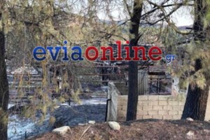 Φωτιά στην Τρίπολη: Μήνυμα από το 112 για εκκένωση σε Άκρα και Άγιο Σώστη