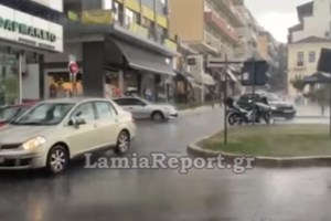 Θεσσαλονίκη: Γέμισε νεκρά ποντίκια ο Θερμαϊκός - Τι συνέβη [βίντεο]