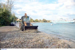 Κυβερνητική σύσκεψη για την Καρδίτσα - Εντολή Μητσοτάκη για επιτάχυνση των αποζημιώσεων στους πληγέντες