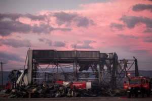 Ανακοίνωση Βιολάντα: "Σε στιγμές πένθους προέχει η ευθύνη και η αξιοπρέπεια"