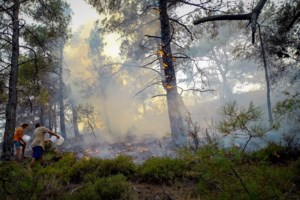 Τεράστια καταστροφή στη Ρόδο: Στάχτη έγιναν πάνω από 135.000 στρέμματα δάσους