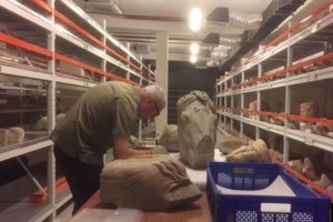 Βρετανία: Ακτιβιστές κατέστρεψαν ομοίωμα δεινοσαύρου στο Λονδίνο- Είχε κατασκευαστεί από απολιθώματα [βίντεο]