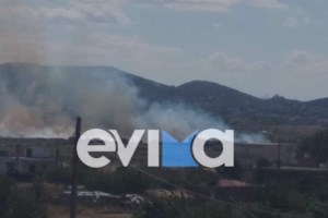 Χαλκίδα: Νύφη και καλεσμένοι σε γάμο χόρευαν στη μέση του δρόμου - Νεύρα από τους οδηγούς [Βίντεο]