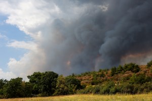 Υψηλός κίνδυνος για φωτιές τις επόμενες μέρες - Κολυδάς: Οι περιοχές που κινδυνεύουν από τον συνδυασμό ισχυροί άνεμοι - ζέστη - ξηρασία