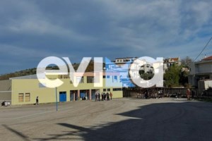 Απόκοσμες εικόνες στην Εύβοια μετά τον σεισμό- Δρόμος κόπηκε στα δύο - εικόνα 3