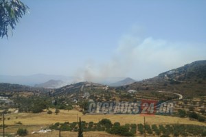 Υπό έλεγχο η πυρκαγιά σε δασική έκταση στη Βραυρώνα –  Δεν απειλείται κατοικημένη περιοχή