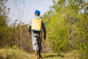 Γλυκά Νερά: Στο μικροσκόπιο της ΕΛΑΣ η "ψυχολόγος" της Καρολάιν - Τι ήξερε για το ζευγάρι και τι απαντά η ίδια για τις καταγγελίες - εικόνα 5