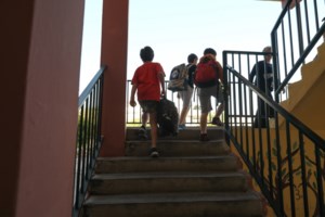 Πανελλαδικές 2020: Στο τέλος της εβδομάδας οι βάσεις - 8 στους 10 περνάνε σε κάποια σχολή