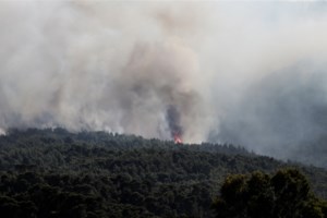 Φωτιά στον Πολυπόταμο Καρύστου στην Εύβοια