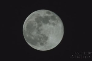 Πανσέληνος του Νοεμβρίου: Mαγευτικές εικόνες από το "Φεγγάρι του κάστορα" - Πώς πήρε το όνομά του - εικόνα 6