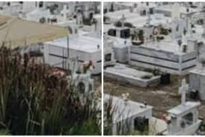 Αμαλιάδα: Επεσε ξύλο σε live γνωστού traper - Ενας νεαρός σοβαρά τραυματίας