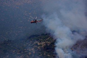 Φωτιά Αλεξανδρούπολη: Σε εξέλιξη μεγάλη επιχείρηση της Πυροσβεστικής στο Τριφύλλι