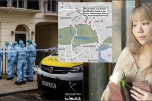 "Aνείπωτα νοσηρή δολοφονία" από μια 14χρονη: H γιαγιά της την κάλεσε για τσάι και εκείνη τη βασάνισε μέχρι θανάτου... - εικόνα 5