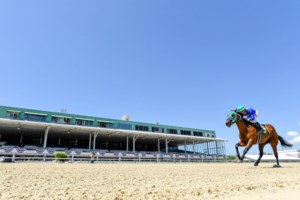 Στους 728 οι νεκροί στη Νέα Υόρκη - Την επιβολή καραντίνας εξετάζει ο πρόεδρος Τραμπ