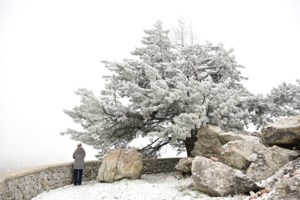 Βίντεο που κόβει την ανάσα: Η μάχη του πλοίου "Express Skopelitis" με τα κύματα και τα Μποφόρ