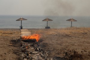 Φωτιά στη Λέσβο: Μεγάλη αναζωπύρωση λόγω των ισχυρών ανέμων – Στη μάχη με τις φλόγες 7 αεροσκάφη και 2 ελικόπτερα - εικόνα 7