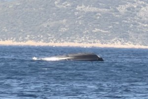 Frontex: Ο πρώην επικεφαλής της κατηγορείται για εγκλήματα κατά της ανθρωπότητας - Λόγω pushbacks