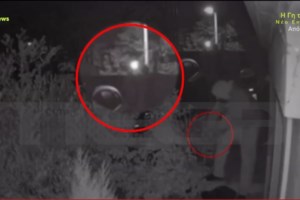 Δροσιά: Προφυλακίστηκε ο 29χρονος για την απόπειρα ανθρωποκτονίας του 38χρονου - "Είχα αισθήματα ερωτικής αντιζηλίας"