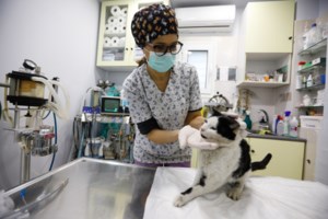 Κορονοϊός: Νέο κρούσμα στη Νέα Αρτάκη Ευβοίας - Μεταφέρθηκε στο "Παίδων"