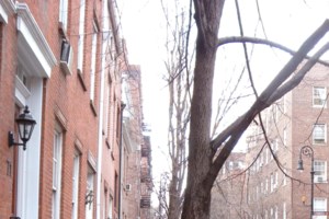 Η Rolls-Royce σταμάτησε την παραγωγή αυτοκινήτων, όχι όμως και μελιού! - εικόνα 2