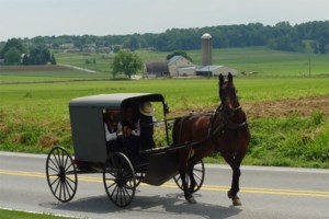 Στην Αίγινα εντοπίστηκε σκελετός μωρού με σύνδρομο Down : Εζησε τον 13ο αιώνα προ Χριστού - εικόνα 4