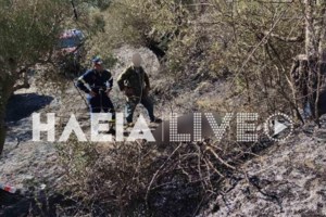 Απίστευτο περιστατικό στον Πύργο: Αγόρασε νωπό κοτόπουλο και το έφαγε ωμό, στη μέση του δρόμου