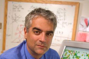 Κορονοϊός - Όλα τα μέτρα στο τραπέζι: Από τοπικά lockdown μέχρι αναβολή έναρξης της σχολικής χρονιάς - εικόνα 3