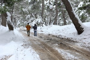 Κακοκαιρία Oliver: Αεροχείμαρροι από βόρεια φέρνουν καταιγίδες και χιόνια έως την Κυριακή - Χάρτες και timelapse βίντεο - εικόνα 4