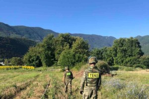 Καβάλα: Απομακρύνονται μετά από έξι μήνες τα συντρίμμια του μοιραίου Antonov - εικόνα 2