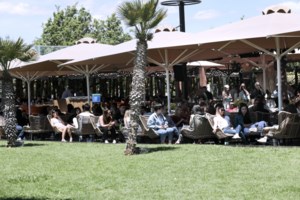 Παγώνη για διστακτικούς: Ακόμα να πειστούν να εμβολιαστούν; Έχουμε ένα πούλμαν θανάτων κάθε μέρα