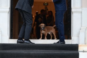 Η δύναμη του Πίνατ στο Μέγαρο Μαξίμου: Τα χάδια από τον υπ. Εσωτερικών των ΗΠΑ, Νταγκ Μπέργκαμ - εικόνα 2