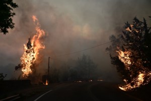 Καλαμάτα: Μεγάλη φωτιά ξέσπασε στην Αγία Τριάδα -  Επιχειρούν ισχυρές πυροσβεστικές δυνάμεις - εικόνα 2