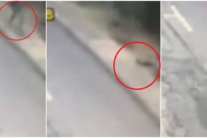 Συνελήφθη ο "δράκος" των Εξαρχείων": Οι Αρχές τον εντόπισαν στην πλατεία Κάνιγγος- Το βεβαρημένο παρελθόν και η φυλακή - εικόνα 5