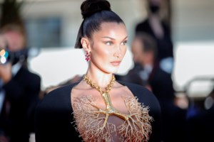 H βασίλισσα των Καννών: Η Σάρον Στόουν έκανε μια επική εμφάνιση και όλοι υποκλίθηκαν στο είδωλο - εικόνα 14