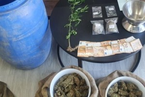 Λάρισα: Ναρκω-σπείρα είχε τρεις φυτείες με 2.193 δενδρύλλια τριών μέτρων - Πάνω από 5 τόνοι χασίς [Εικόνες, βίντεο]