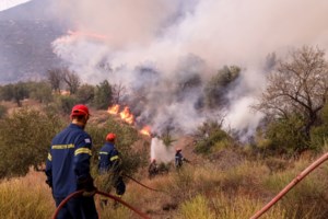 Μητσοτάκης στη Βουλή: Η φωτιά στον Έβρο μπήκε από ανθρώπινο χέρι, χωρίς αμφιβολία- Στα μονοπάτια των μεταναστών - εικόνα 6
