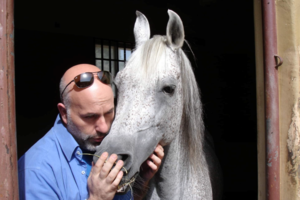 Η Κάτια Ζυγούλη πήγε για ψυχοθεραπεία - Η επαφή της με τα άλογα-θεραπευτές [Βίντεο] - εικόνα 2