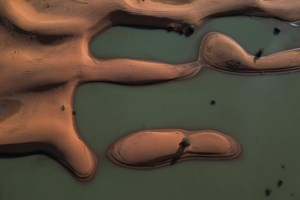 Εντυπωσιακό: Χιονοθύελλα σε έρημο της Σαουδικής Αραβίας - Αμμώδεις αμμόλοφοι καλύφθηκαν από πυκνό χιόνι [εικόνες]