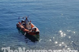 Κρήτη: Διασώθηκε φώκια μωρό μόλις 10 ημερών - Εχασε τη μητέρα του [βίντεο]